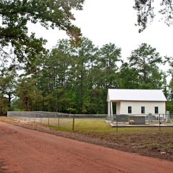 Beatrice Archives RuralSWAlabama